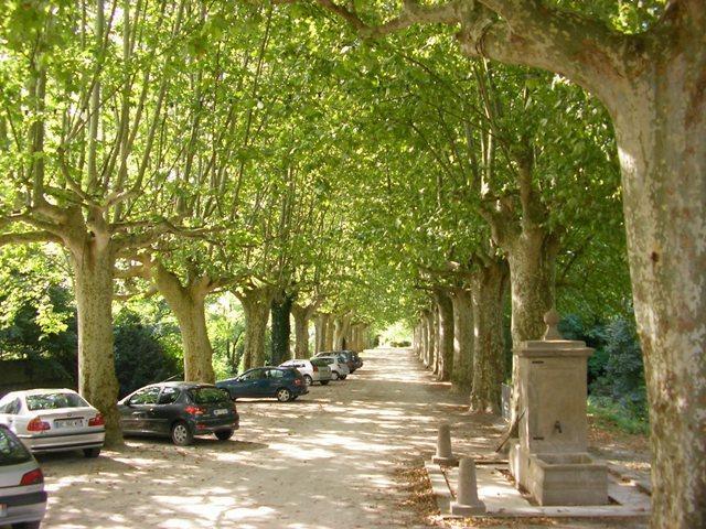 Chateau De Saint Michel De Lanes Bagian luar foto
